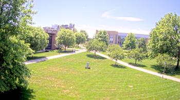 Live Camera from Misericordia University, Dallas, PA