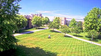 Live Camera from Misericordia University, Dallas, PA