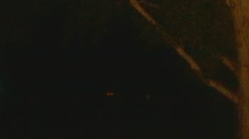 Live Camera from a random camera within the United States