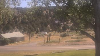 Live Camera from a random camera within the United States