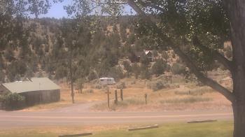 Live Camera from a random camera within the United States