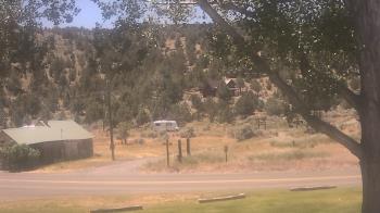 Live Camera from a random camera within the United States