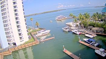 Live Camera from a random camera within the United States