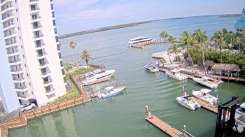 Live Camera from a random camera within the United States