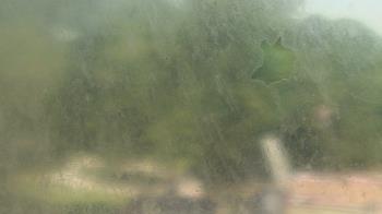 Live Camera from a random camera within the United States