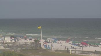 Live Camera from The Gulfarium, Fort Walton Beach, FL 32547