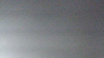 Live Camera from The Gulfarium, Fort Walton Beach, FL