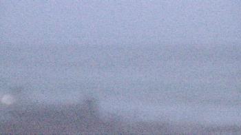 Live Camera from The Gulfarium, Fort Walton Beach, FL 32547
