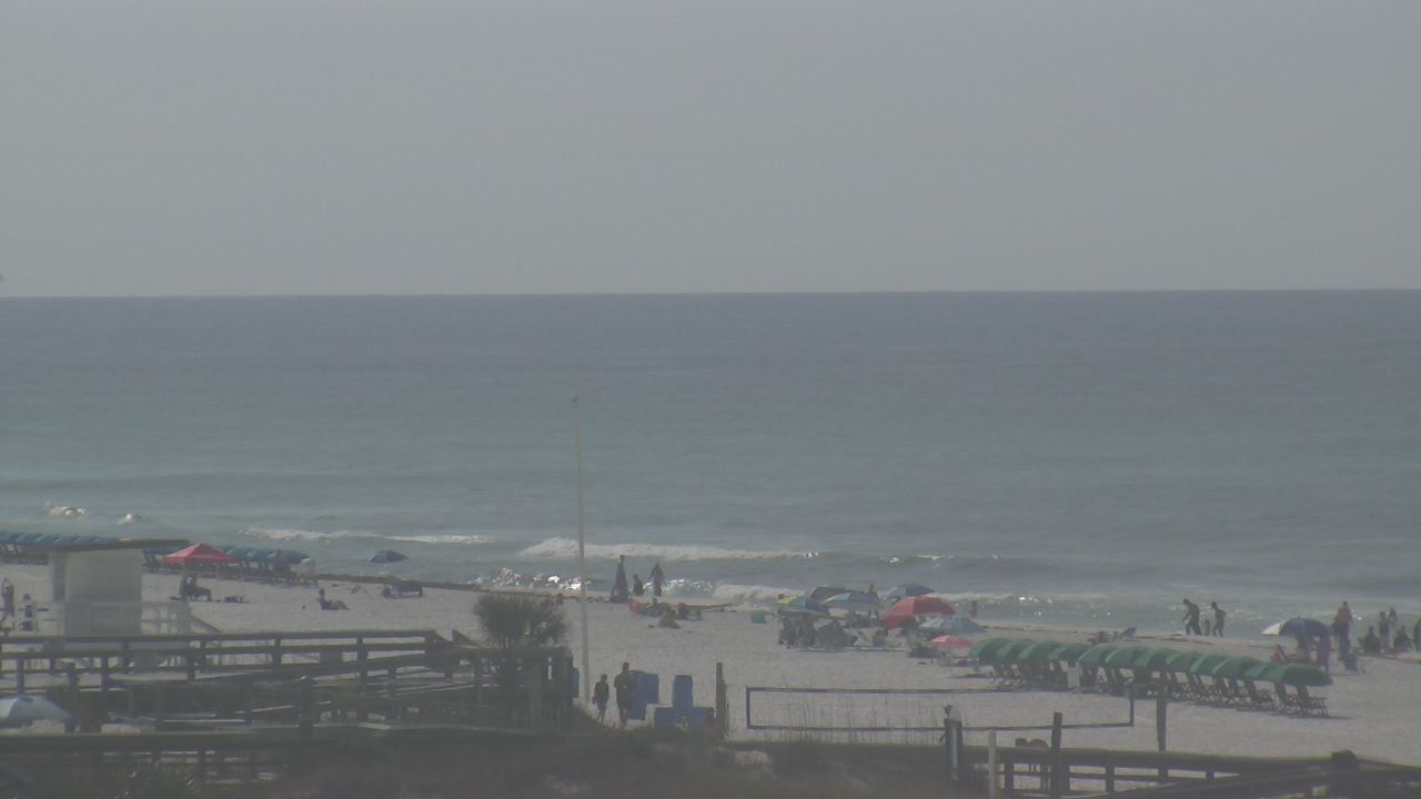 Live Camera from The Gulfarium, Fort Walton Beach, FL 32547
