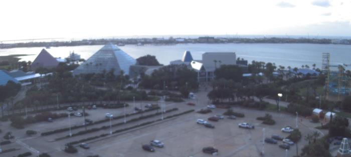 Live Camera from Moody Gardens, Inc., Galveston, TX
