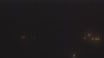 Live Camera from Camp for All, Burton, TX