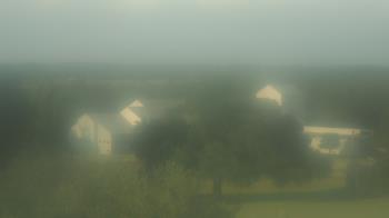 Live Camera from Camp for All, Burton, TX