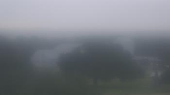 Live Camera from Camp for All, Burton, TX
