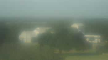 Live Camera from Camp for All, Burton, TX