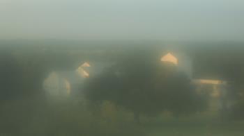 Live Camera from Camp for All, Burton, TX