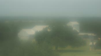 Live Camera from Camp for All, Burton, TX