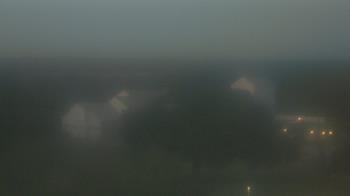 Live Camera from Camp for All, Burton, TX