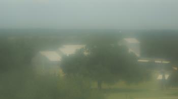Live Camera from Camp for All, Burton, TX