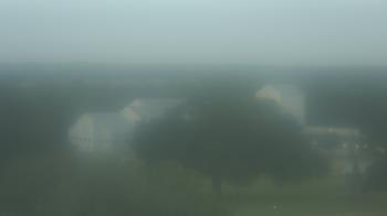 Live Camera from Camp for All, Burton, TX