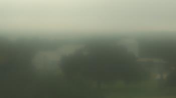 Live Camera from Camp for All, Burton, TX