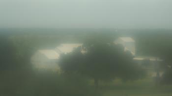 Live Camera from Camp for All, Burton, TX