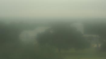Live Camera from Camp for All, Burton, TX