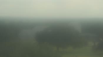 Live Camera from Camp for All, Burton, TX