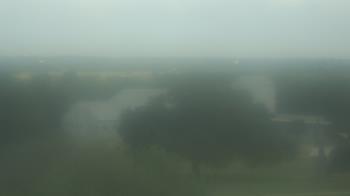 Live Camera from Camp for All, Burton, TX