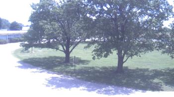 Live Camera from a random camera within the United States