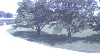 Live Camera from Goessel ES, Goessel, KS