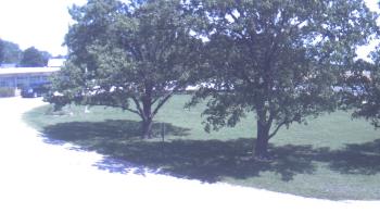Live Camera from Goessel ES, Goessel, KS