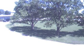Live Camera from Goessel ES, Goessel, KS