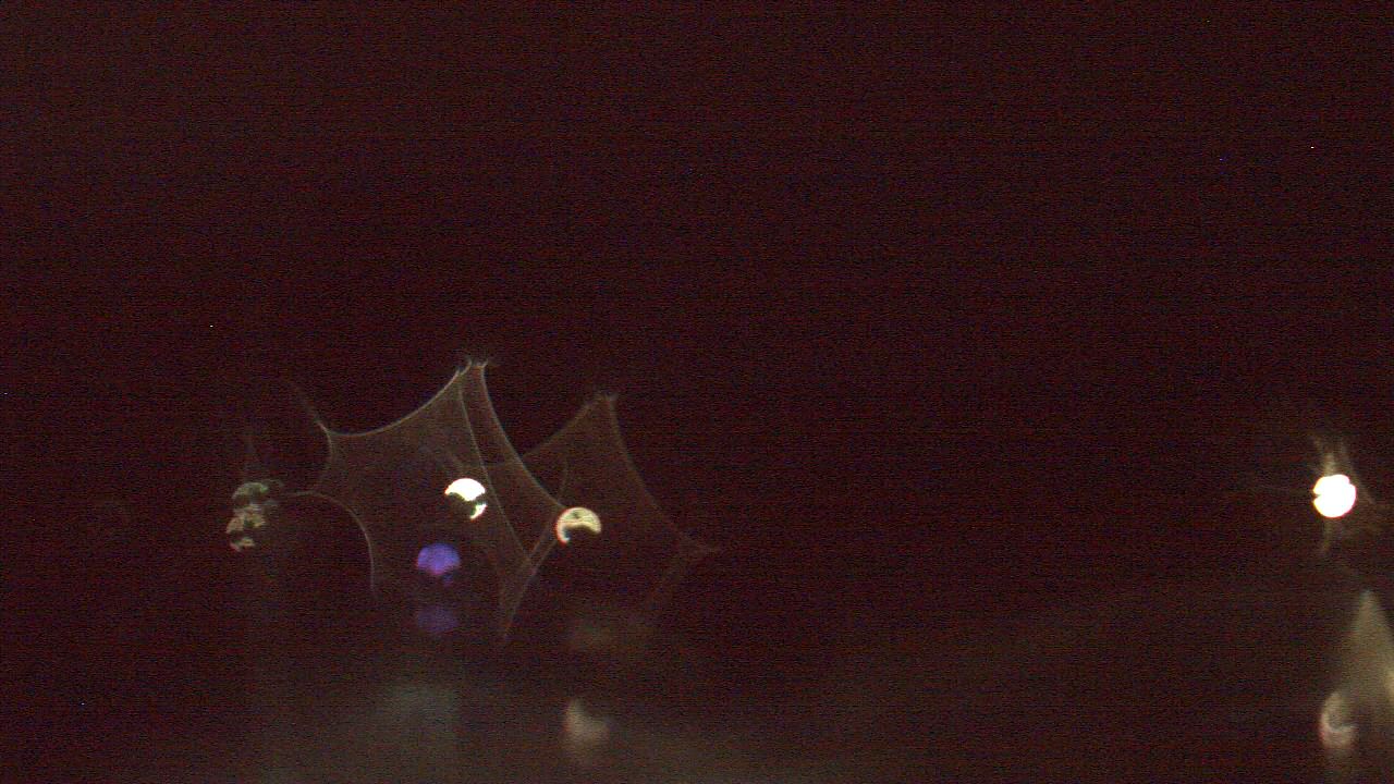 Kane, PA Weather Cameras