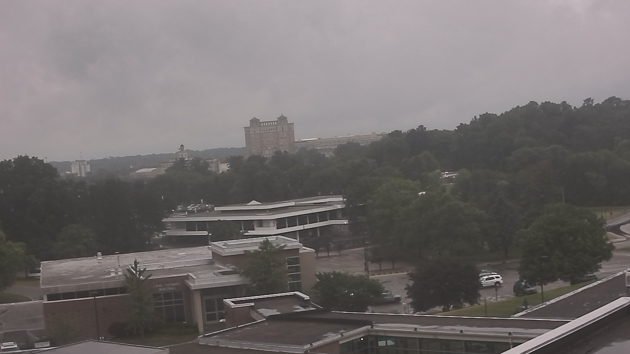 Live Camera from Kellogg Community College, Battle Creek, MI 49017
