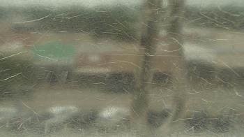Live Camera from Madison County OEM, Madisonville, TX