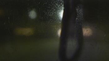 Live Camera from Madison County OEM, Madisonville, TX