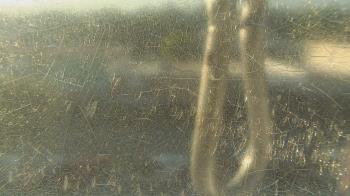 Live Camera from Madison County OEM, Madisonville, TX