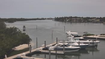 Live Camera from a random camera within the United States