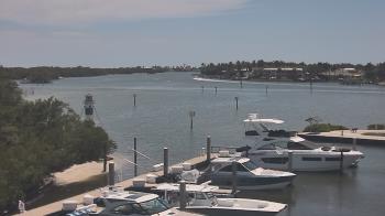 Live Camera from a random camera within the United States