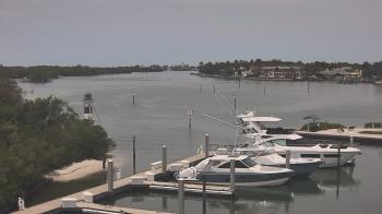 Live Camera from a random camera within the United States