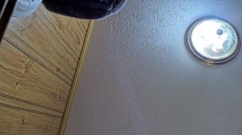 Live Camera from a random camera within the United States