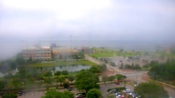 Live Camera from City of Pensacola City Hall, Pensacola, FL