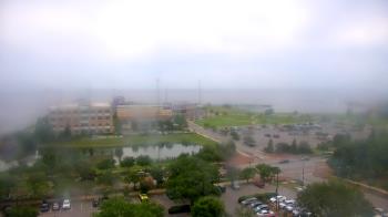 Live Camera from City of Pensacola City Hall, Pensacola, FL