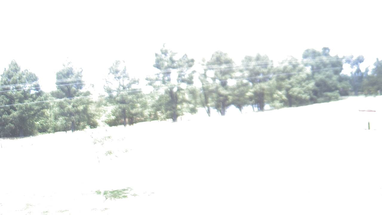 Live Camera from Lincoln ES, Pittsburg, IL 62974