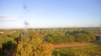 Live Camera from Schnepf Farms, Queen Creek, AZ