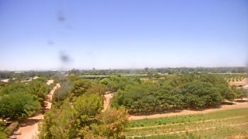 Live Camera from Schnepf Farms, Queen Creek, AZ
