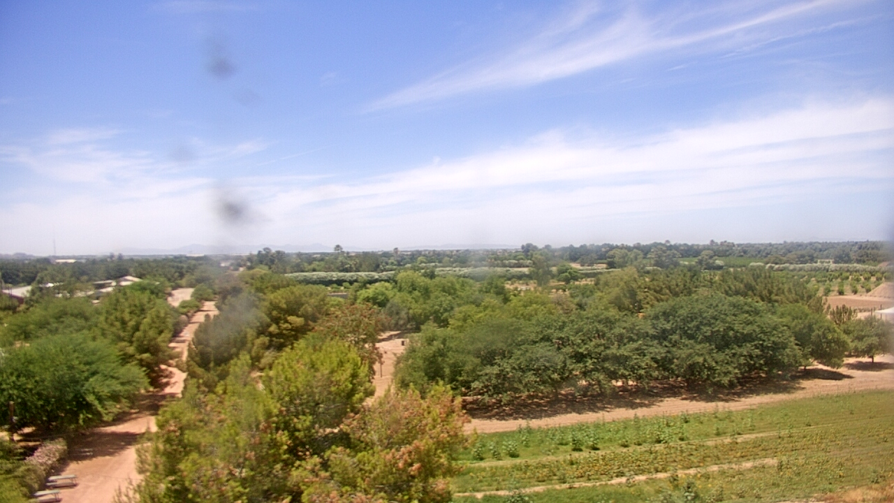 Live Camera from Schnepf Farms, Queen Creek, AZ 85242