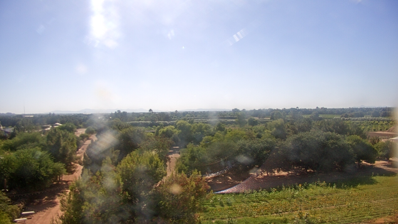 Live Camera from Schnepf Farms, Queen Creek, AZ 85242
