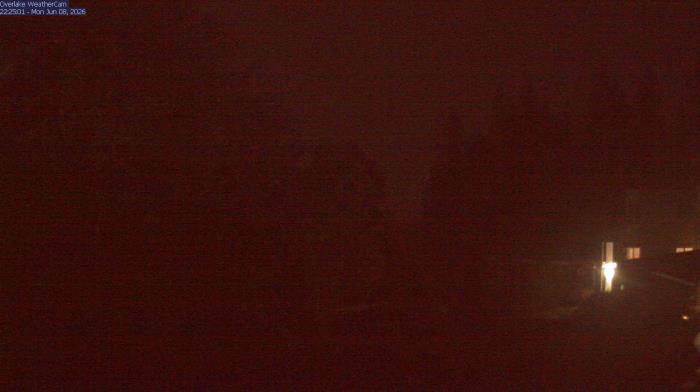Live Camera from a random camera within the United States