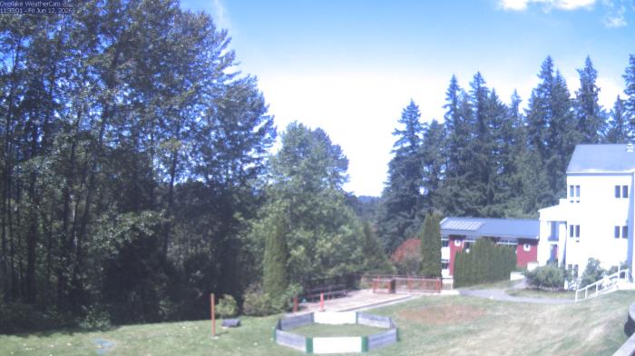 Live Camera from a random camera within the United States